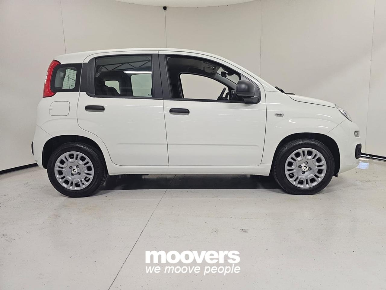 FIAT Panda 3ª serie 1.0 FireFly S&S Hybrid Pandina