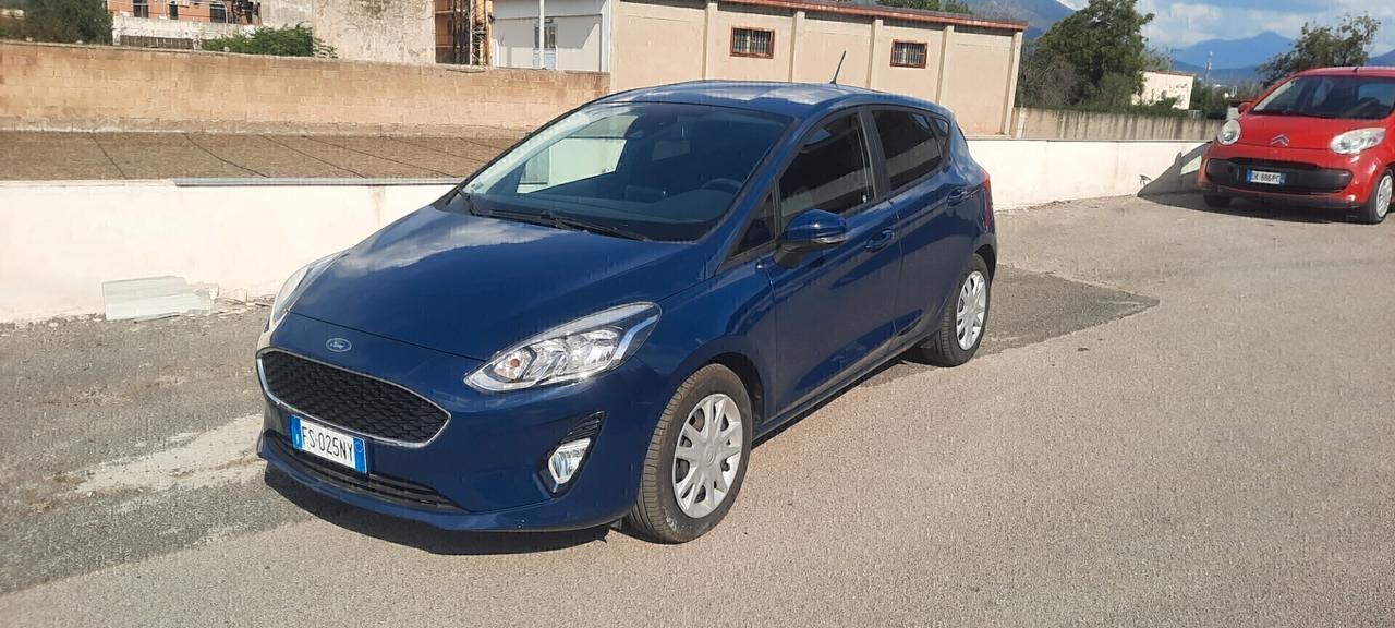 Ford Fiesta cc15 tdci anno 2019
