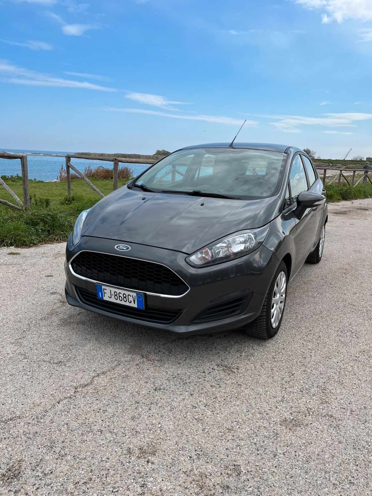 Ford Fiesta 1.5 TDCi 75CV 5 porte Business