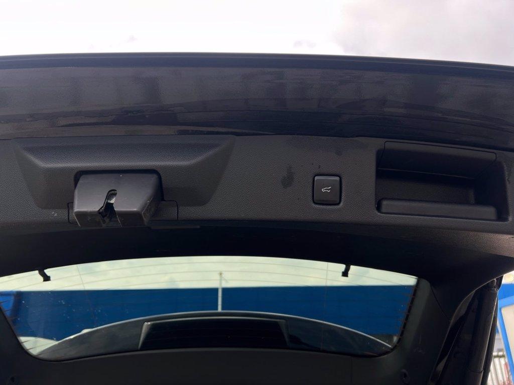 FORD Kuga 1.5 EcoBlue 120 CV 2WD ST-Line del 2022