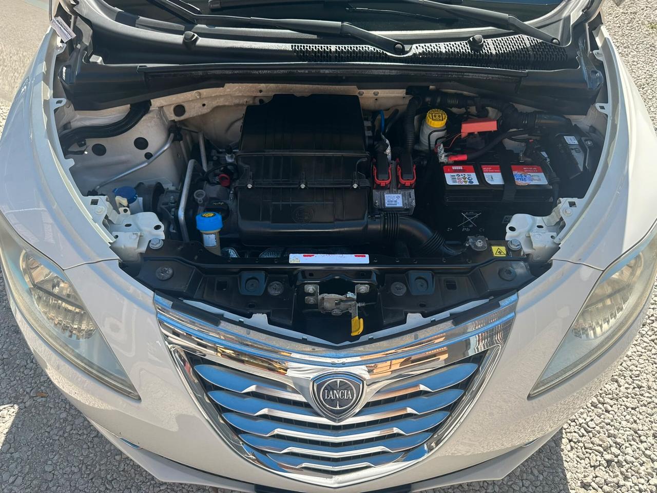 Lancia Ypsilon 1.2 69 CV 5 porte S&S Platinum
