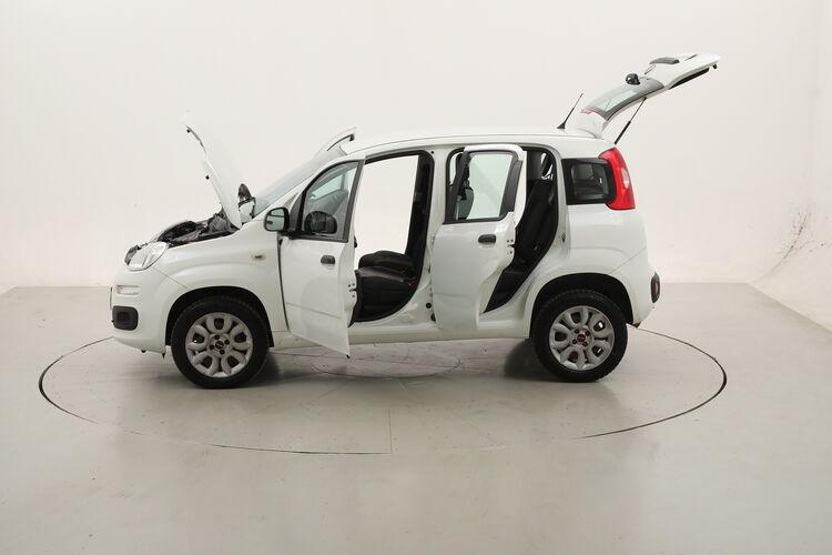 Fiat Panda Easy Natural Power BR856814 0.9 Metano 85CV