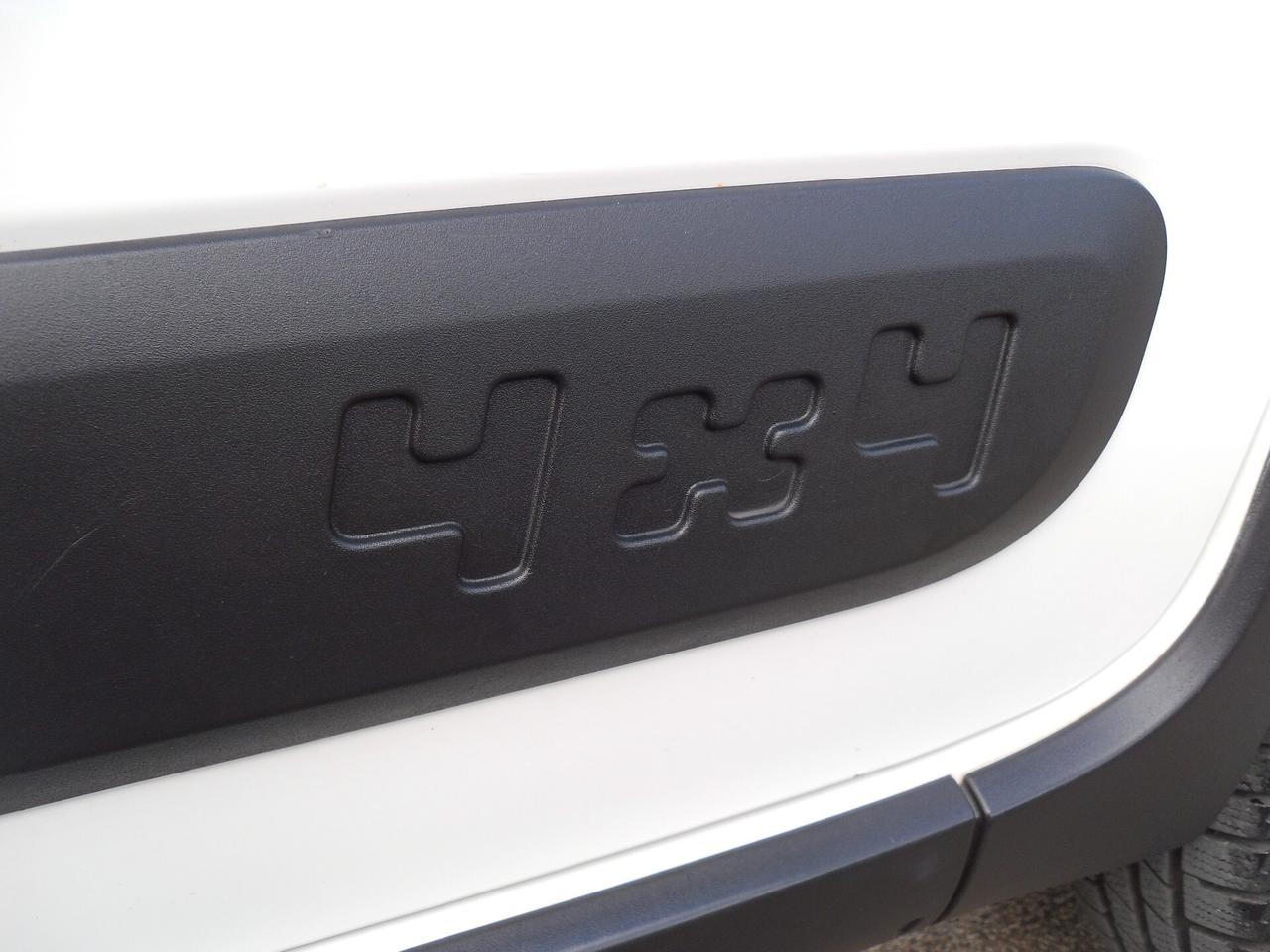 Fiat Panda 1.3 multijet 75 cv 4x4 (tasto ELD )