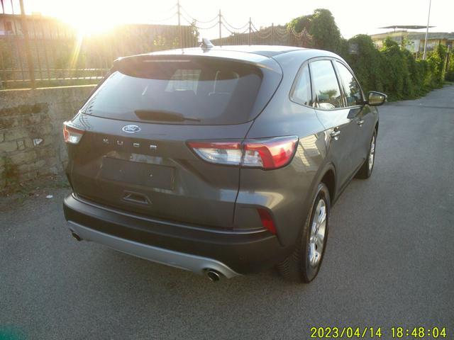 FORD Kuga 1.5 EcoBlue 120 CV aut. 2WD Titanium Business