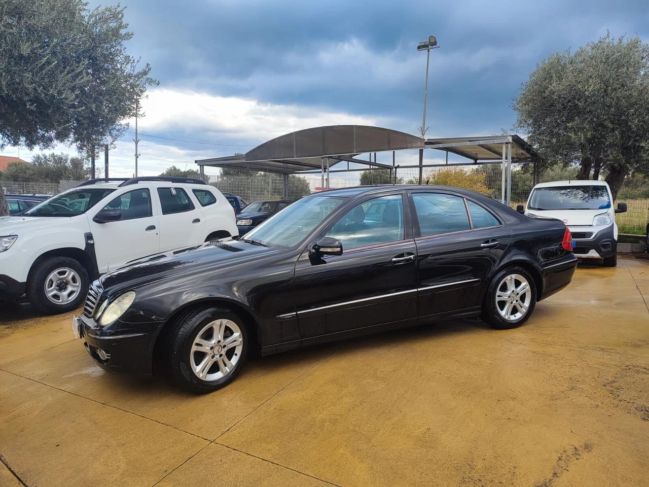 Mercedes-benz E 220 CDI cat EVO Avantgarde