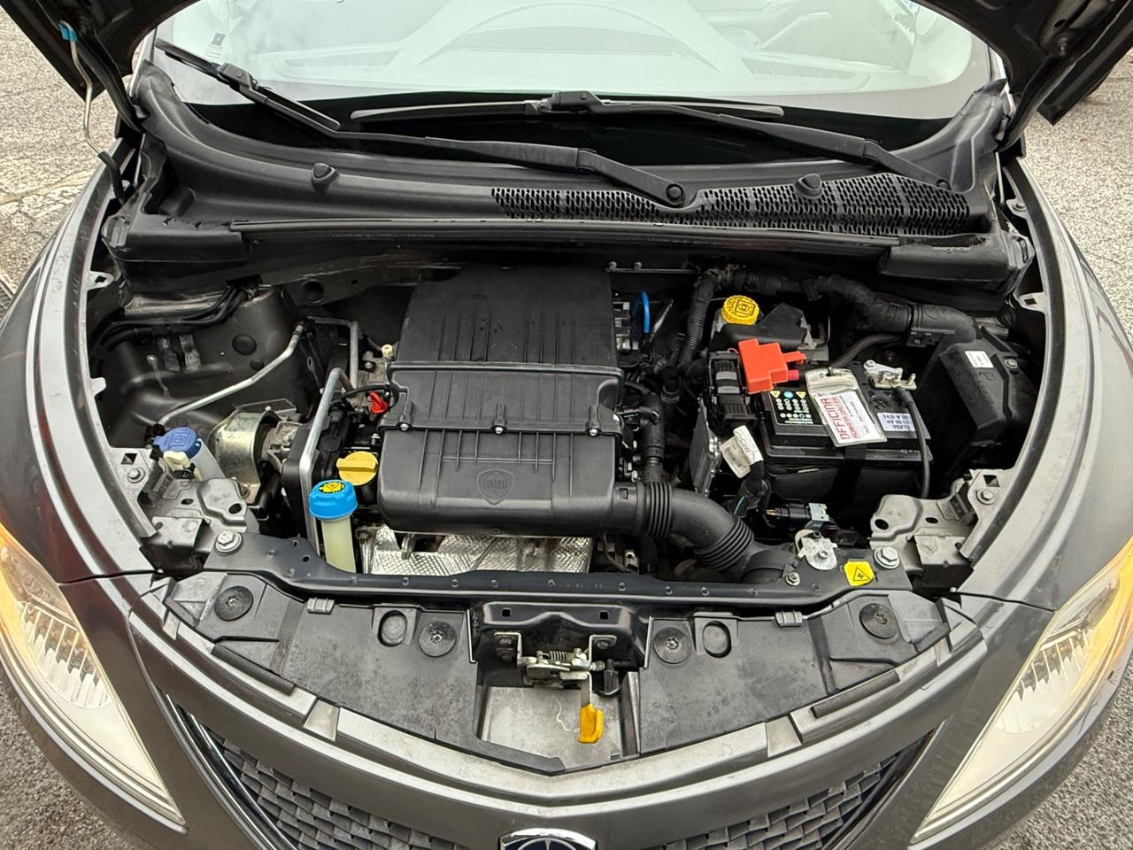 Ypsilon 1.2 69 CV 5 porte/rate/permute/garanzia