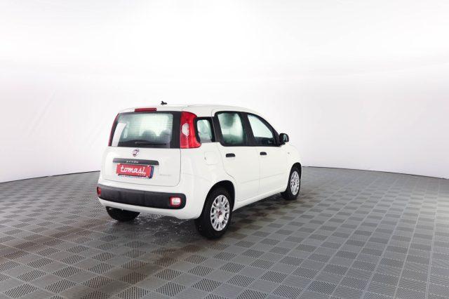 FIAT Panda Panda 1.0 FireFly 70cv S&S Hybrid E6d-Final EASY