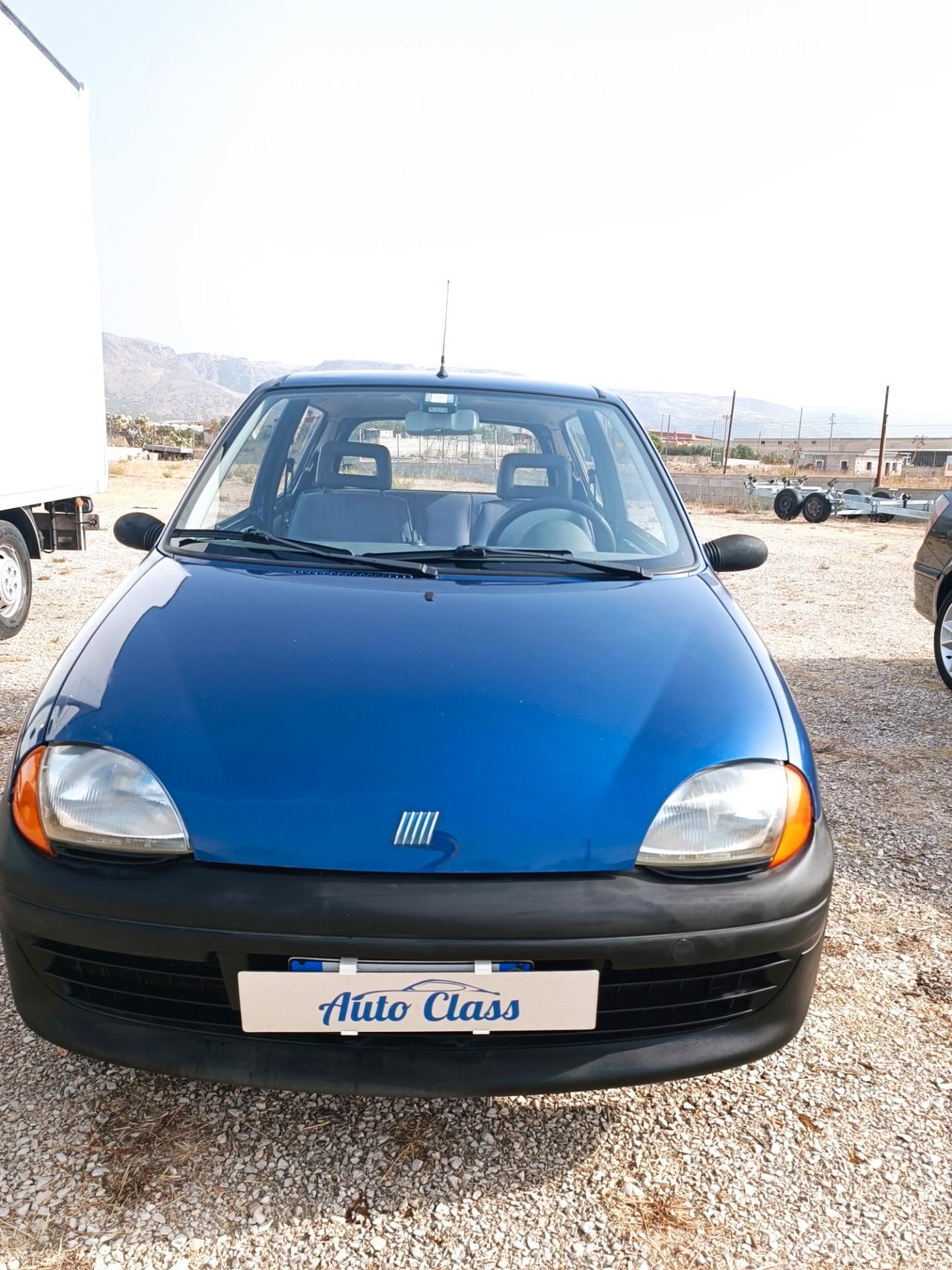 Fiat Seicento 900i cat Young