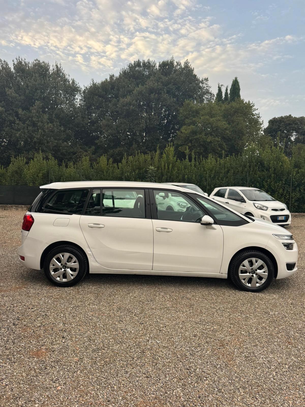 Citroen C4 Picasso BlueHDi 120 CV 7 POSTI !!