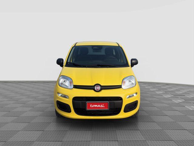 FIAT Panda Pandina 1.0 FireFly 65 CV Hybrid Pop