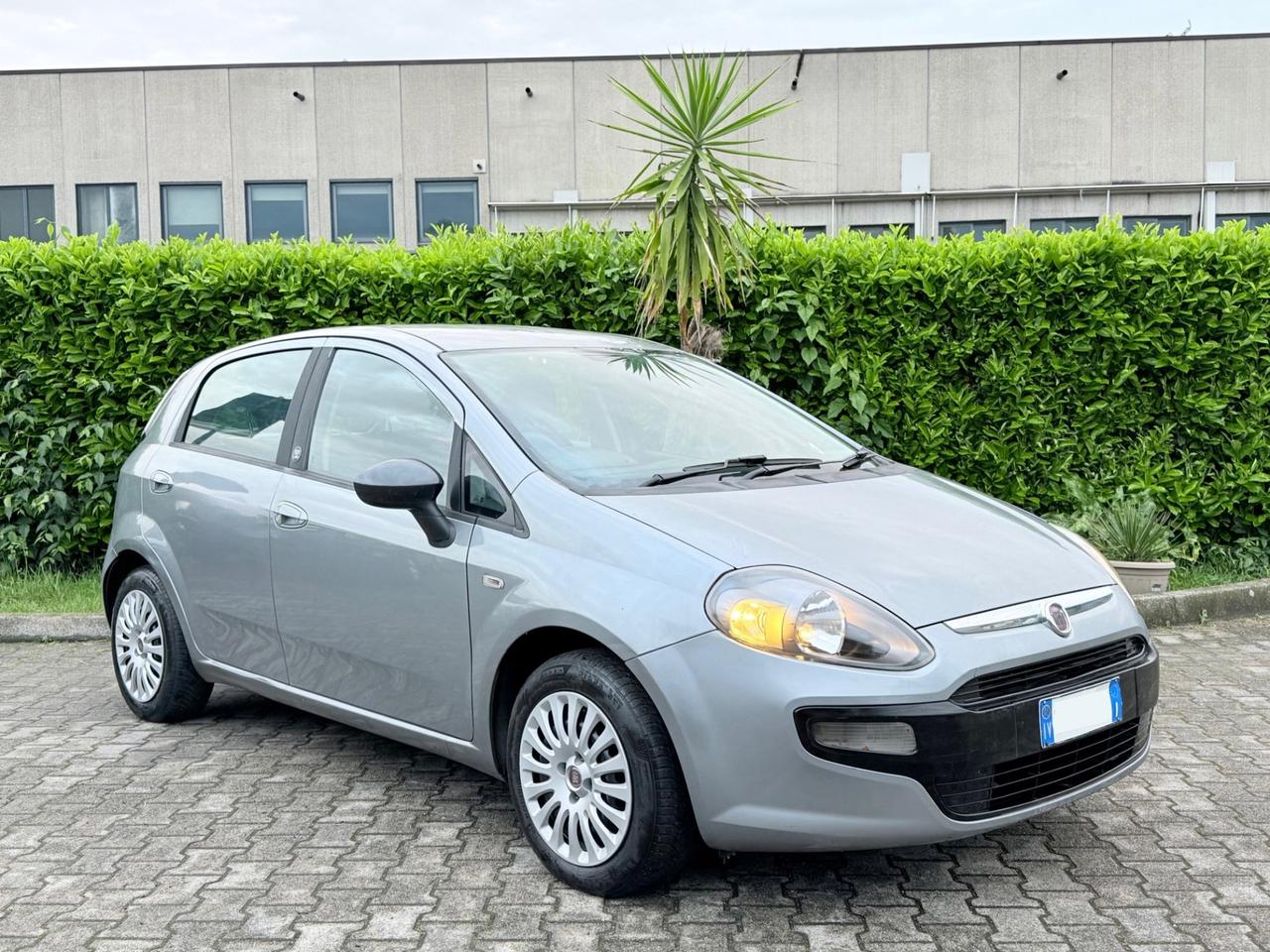 Fiat Punto Evo 1.2 69CV 5Porte Neopatentati