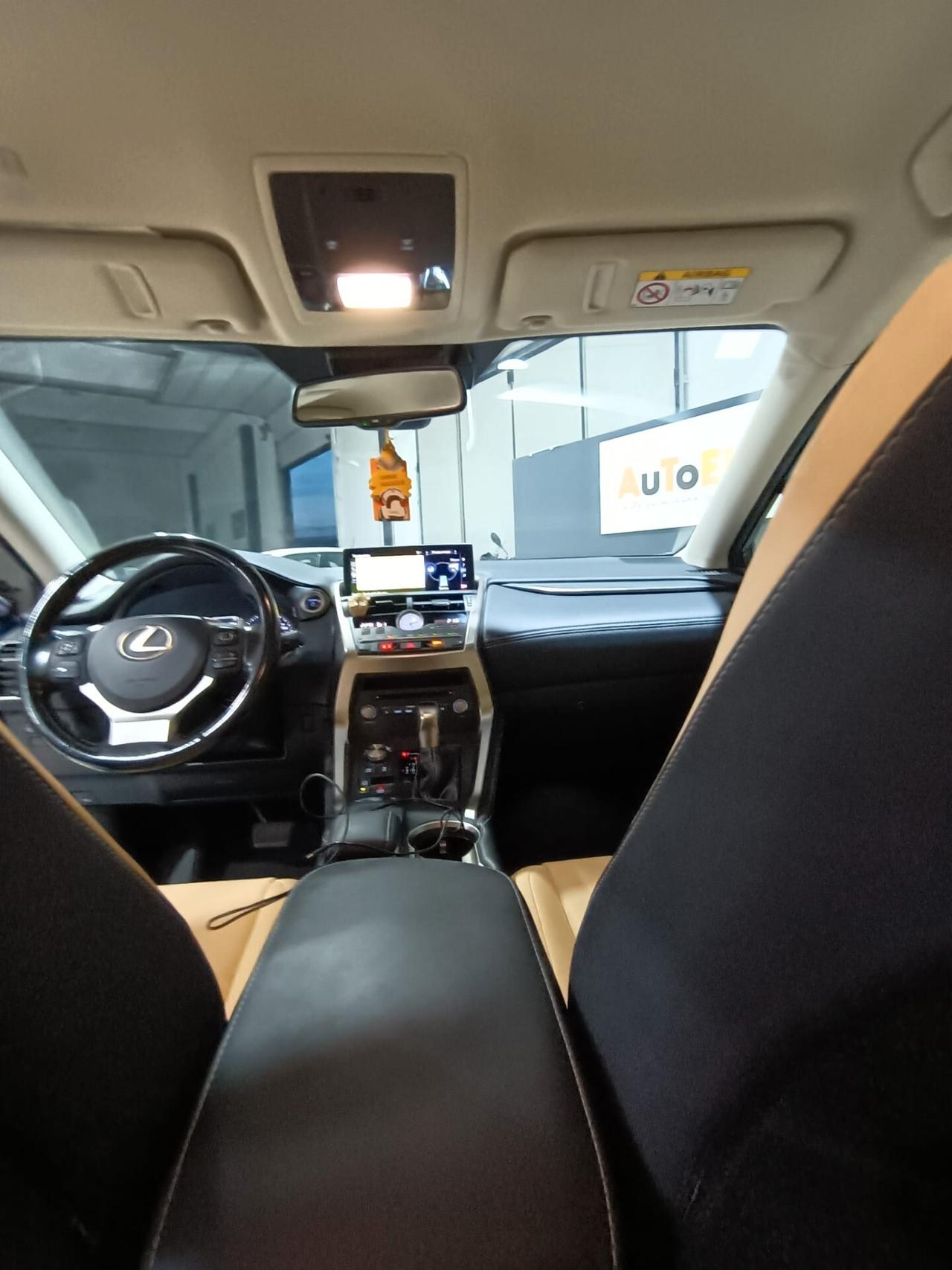 Lexus NX 300