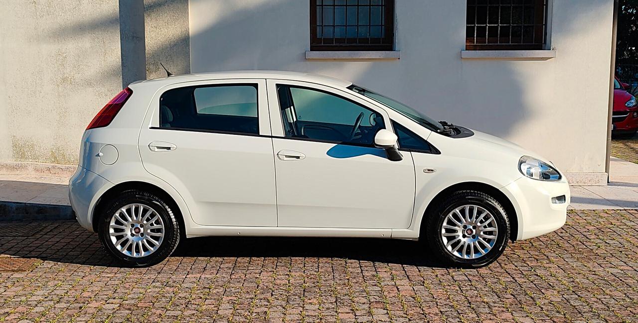Fiat Punto 1.4 8V Street GPL 2017 OK NEOPATENTATI