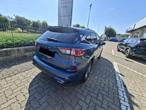FORD Kuga III 2020 - Kuga 2.0 ecoblue ST-Line X 2wd 120cv auto