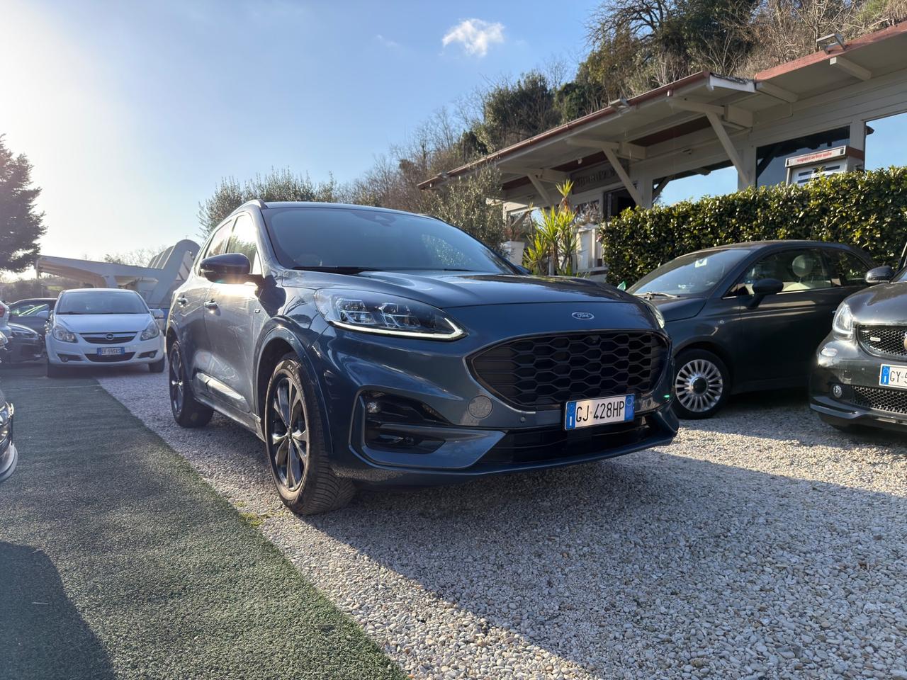 Ford Kuga 2.5 Full Hybrid 190 CV CVT 2WD Titanium Business