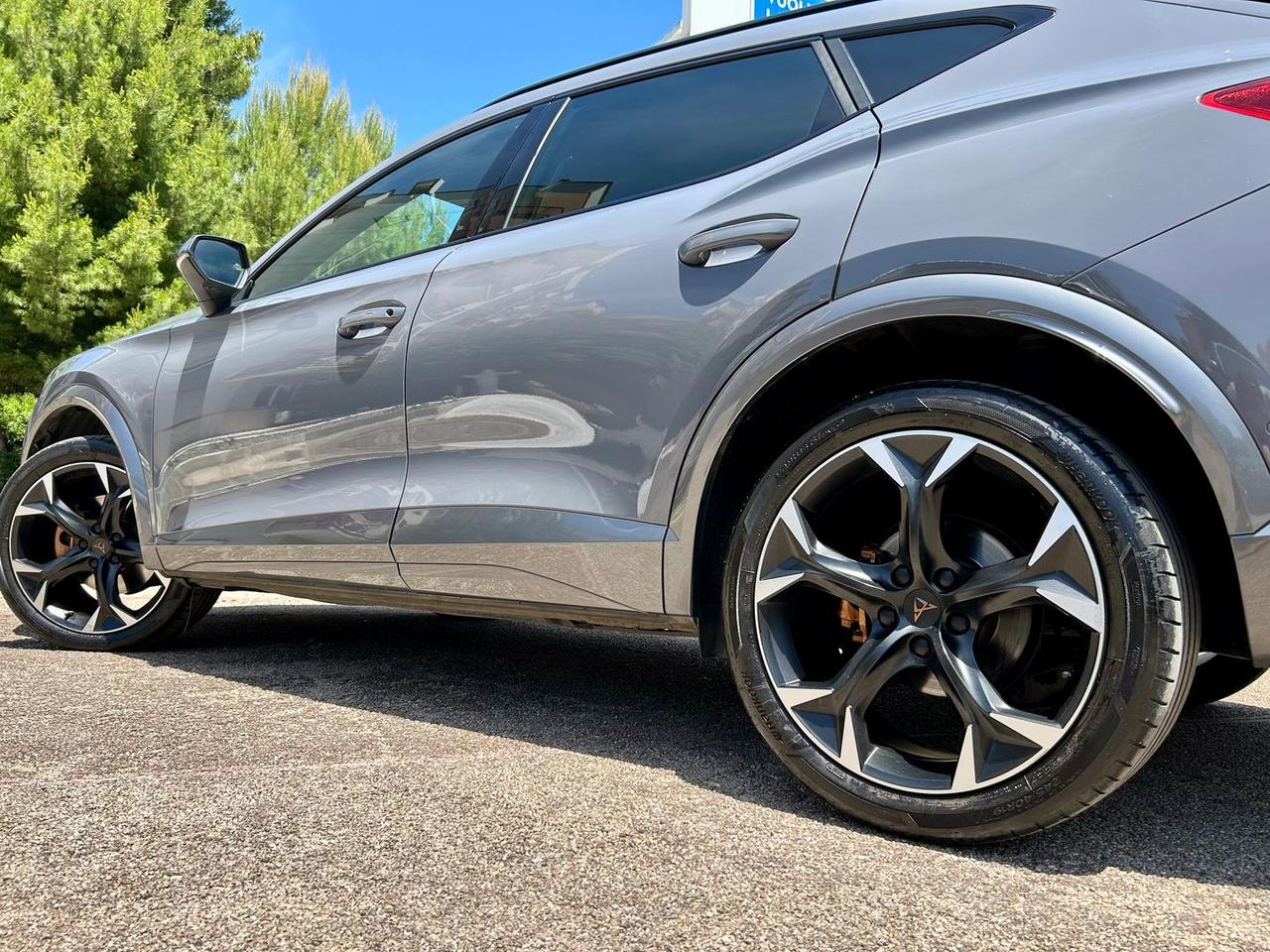 Cupra Formentor 2.0 TDI #11101