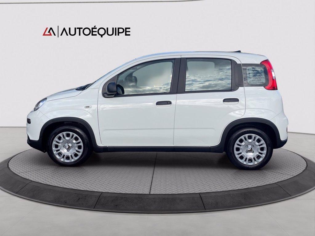 FIAT Panda 1.0 firefly hybrid s&s 70cv 5p.ti del 2024