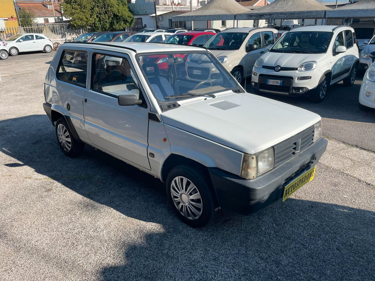 Fiat Panda 900 i.e. cat