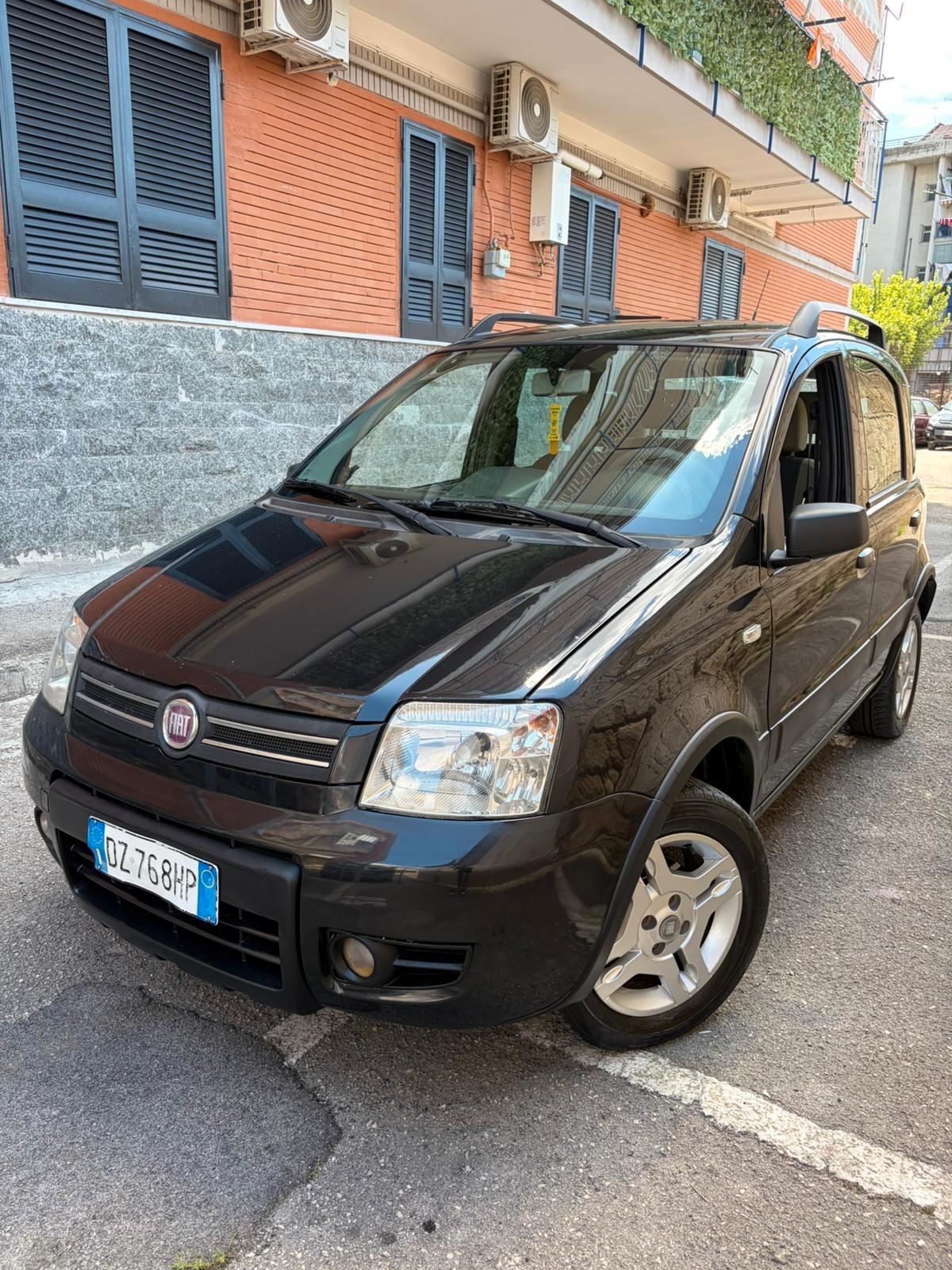 Fiat Panda 1.2 Climbing Natural Power