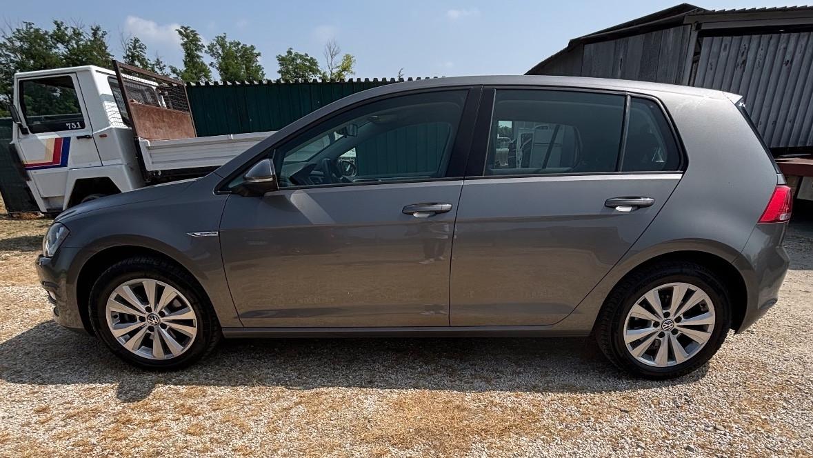 Volkswagen Golf 1.4 TGI 5p. Executive BlueMotion