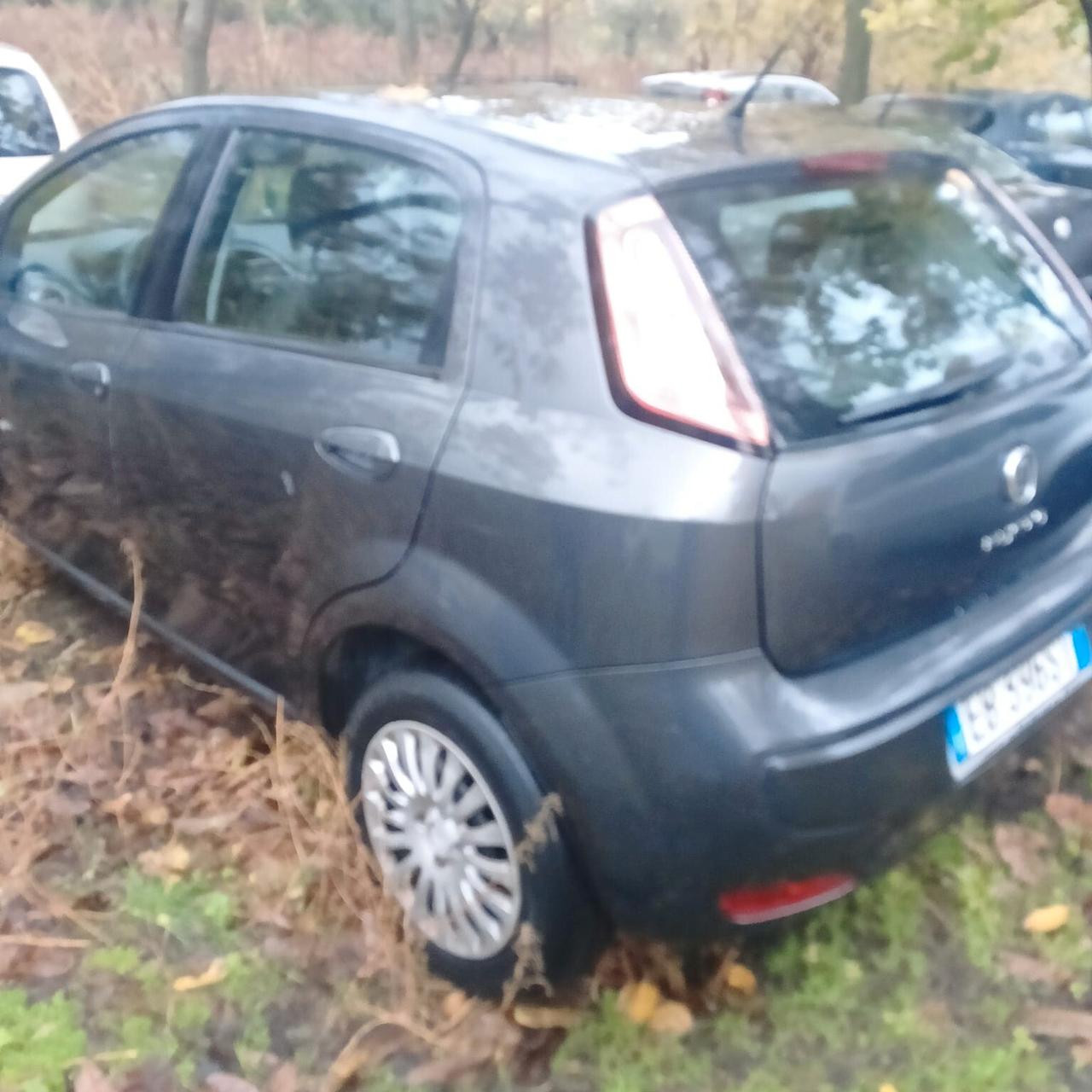 Fiat Punto Evo Punto Evo 1.3 Mjt 75 CV 5 porte Dynamic