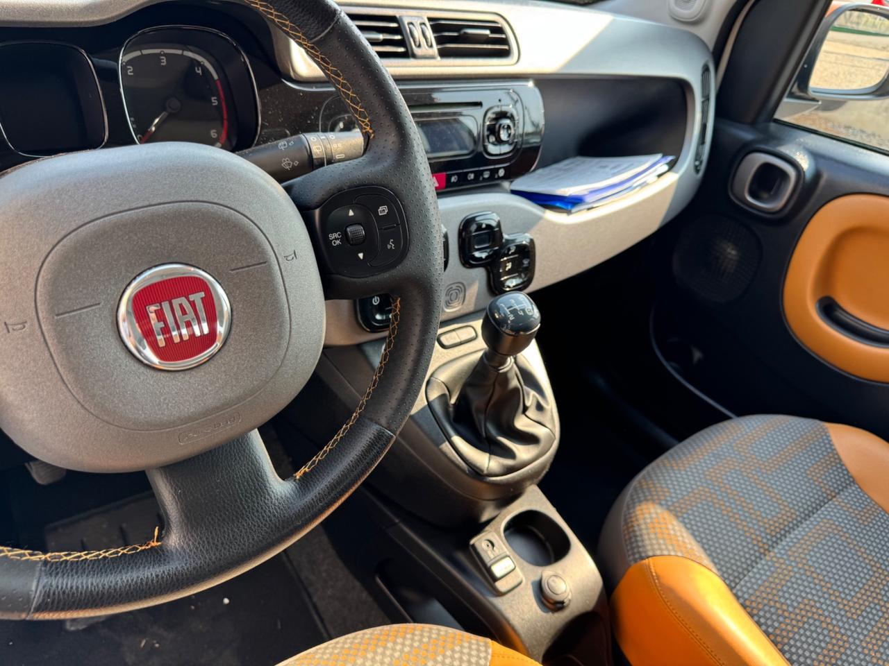 Fiat Panda 1.3 MJT S&S 4x4 ANTARTICA SERIE LIMITATA