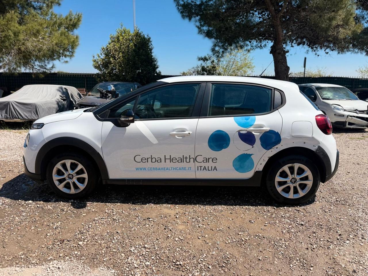 Citroen C3 BlueHDi 100 S&S Van Feel Con Catena Rotta