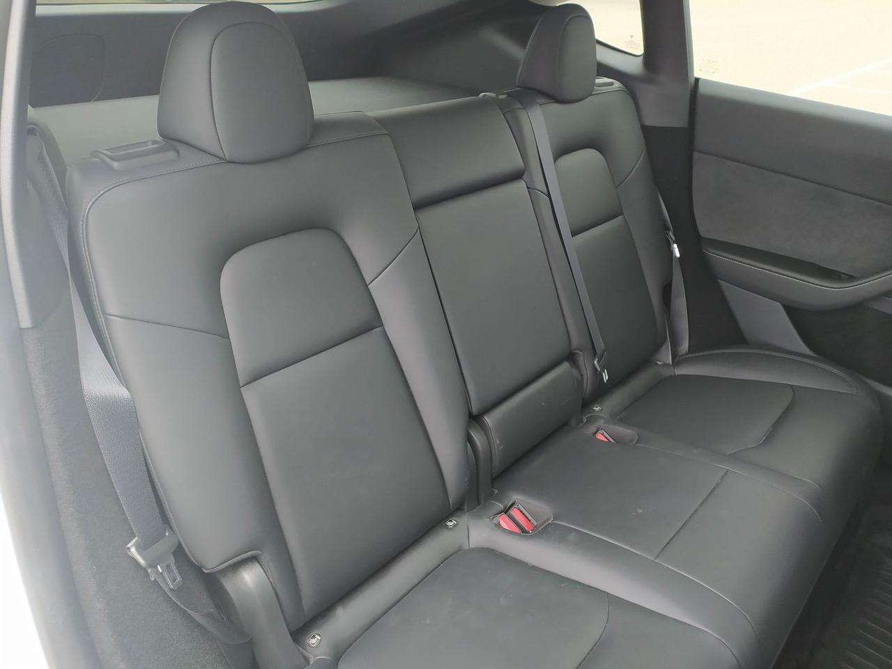 Tesla Model Y Standard Range / Standard #9113