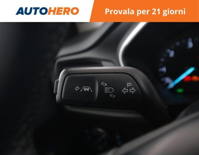 FORD Focus 1.5 EcoBlue 120 CV 5p. Business