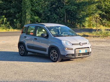 Fiat Panda 1.0 FireFly S&S Hybrid City Cross CV-69 E6 Manuale NEO 2022