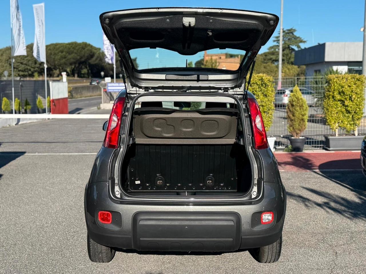 Fiat Panda 1.0 FireFly S&S Hybrid