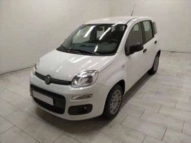 FIAT Panda 1.2 Easy easypower Gpl 69cv my19