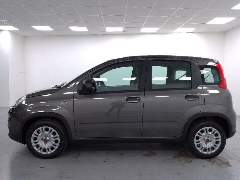 FIAT Panda 1.2 easypower Gpl s&s 69cv