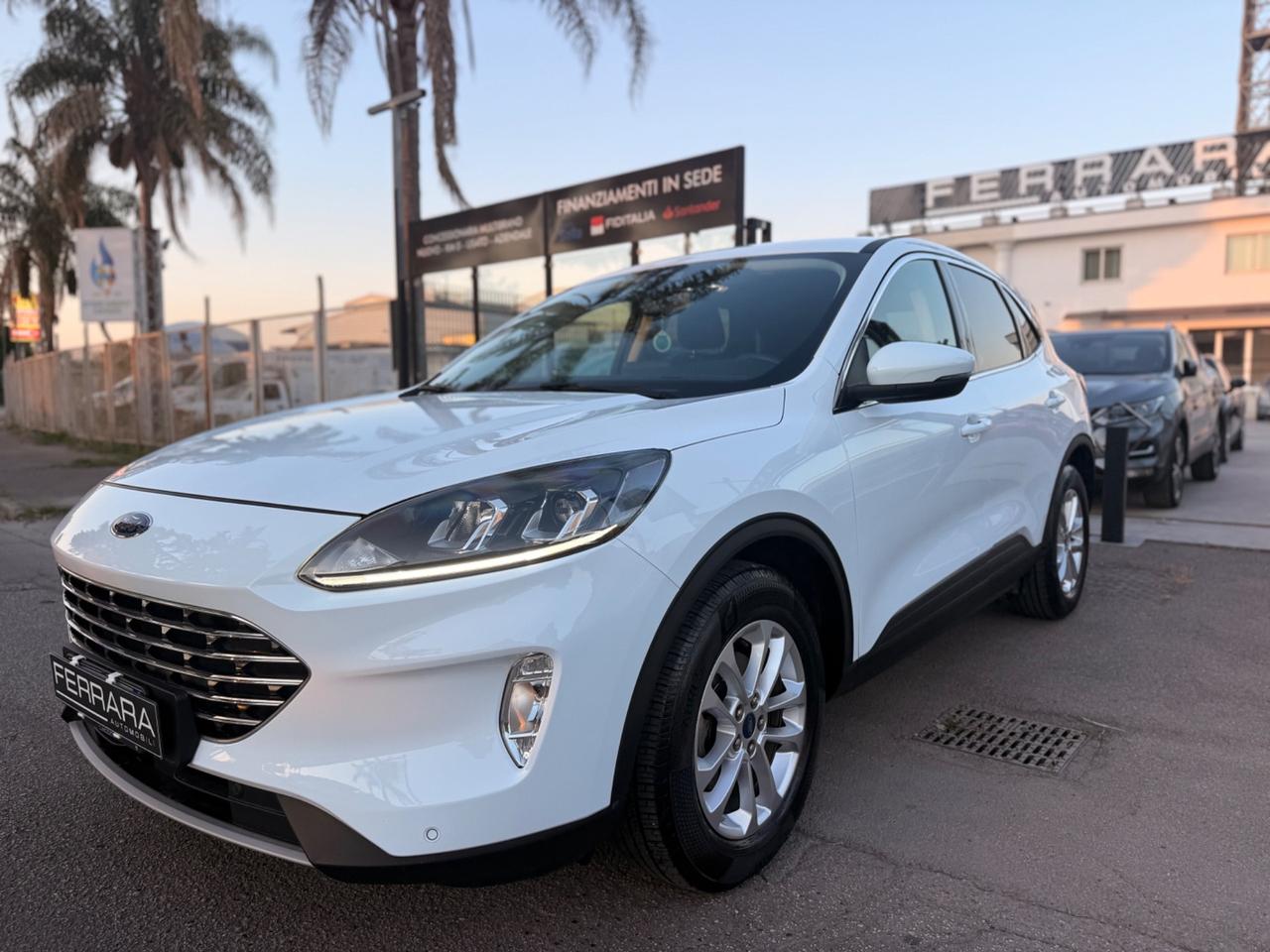 Ford Kuga 1.5 EcoBlue 120 CV 2WD Titanium