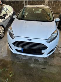 Ford Fiesta 1.0 80CV 5 porte neo patentati