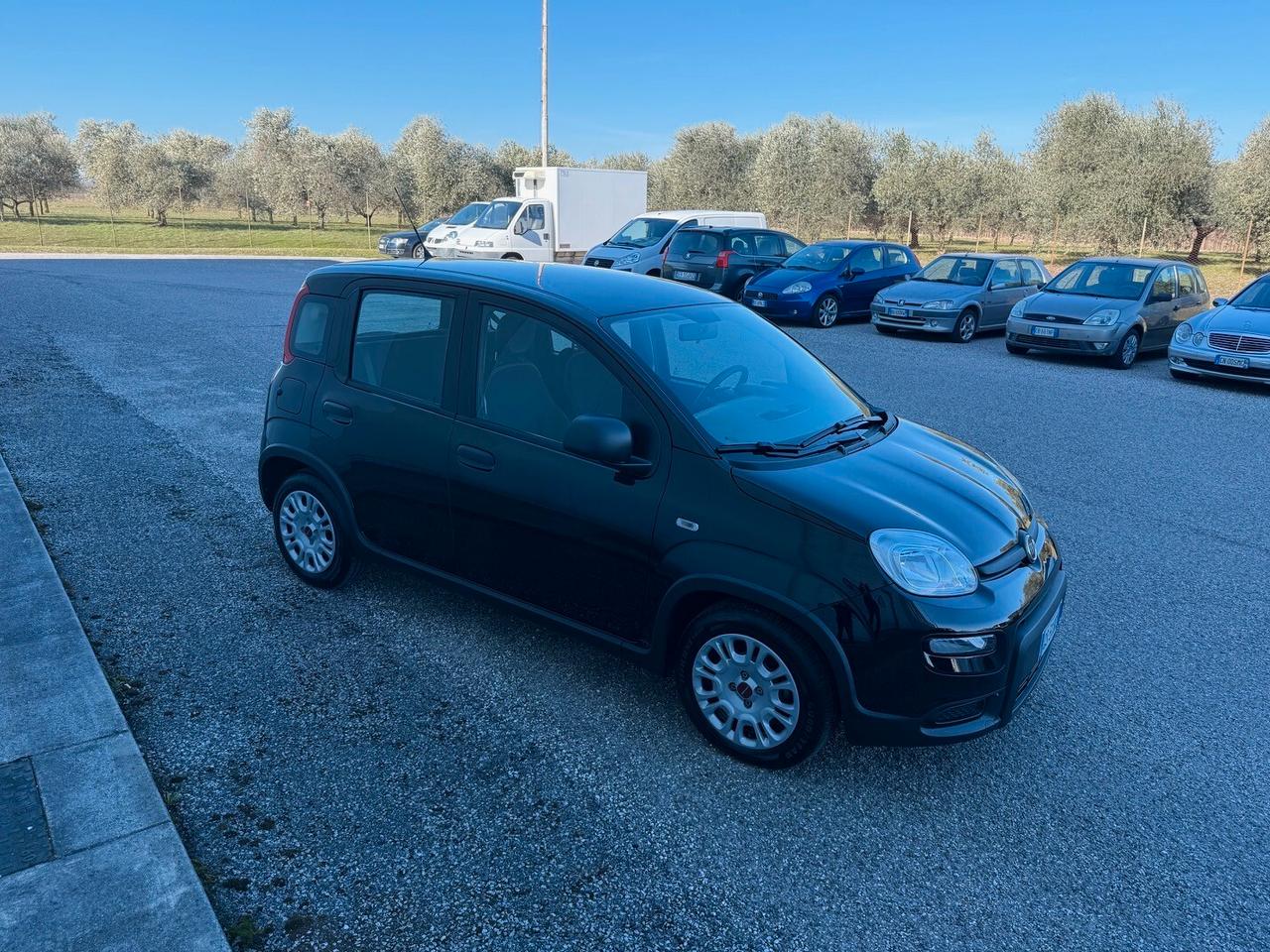 Fiat Panda 1.0 FireFly S&S Hybrid