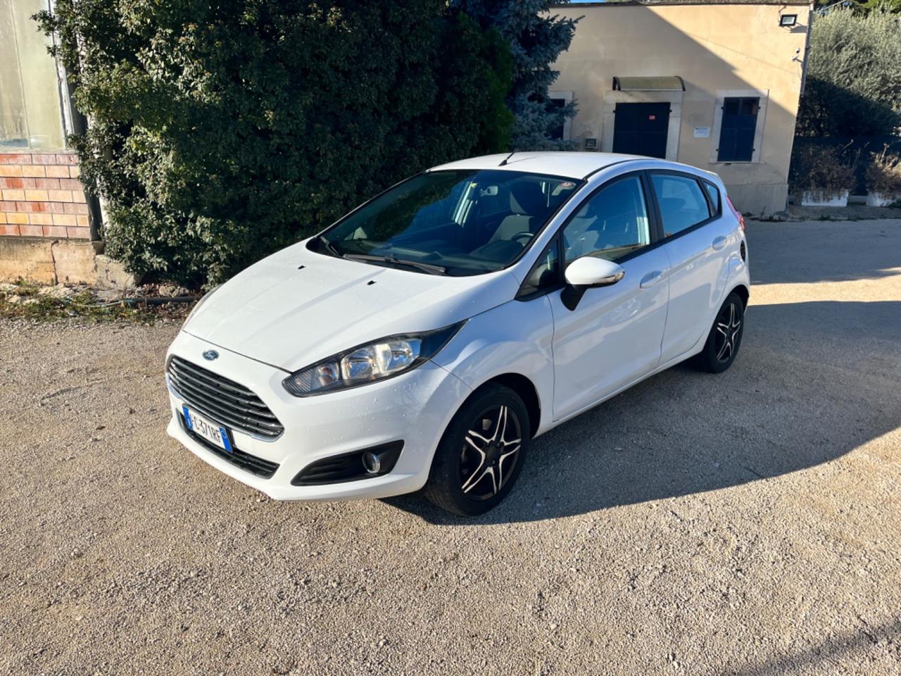 Ford Fiesta 1.5 TDCi 75CV 5 porte Black & White Edition