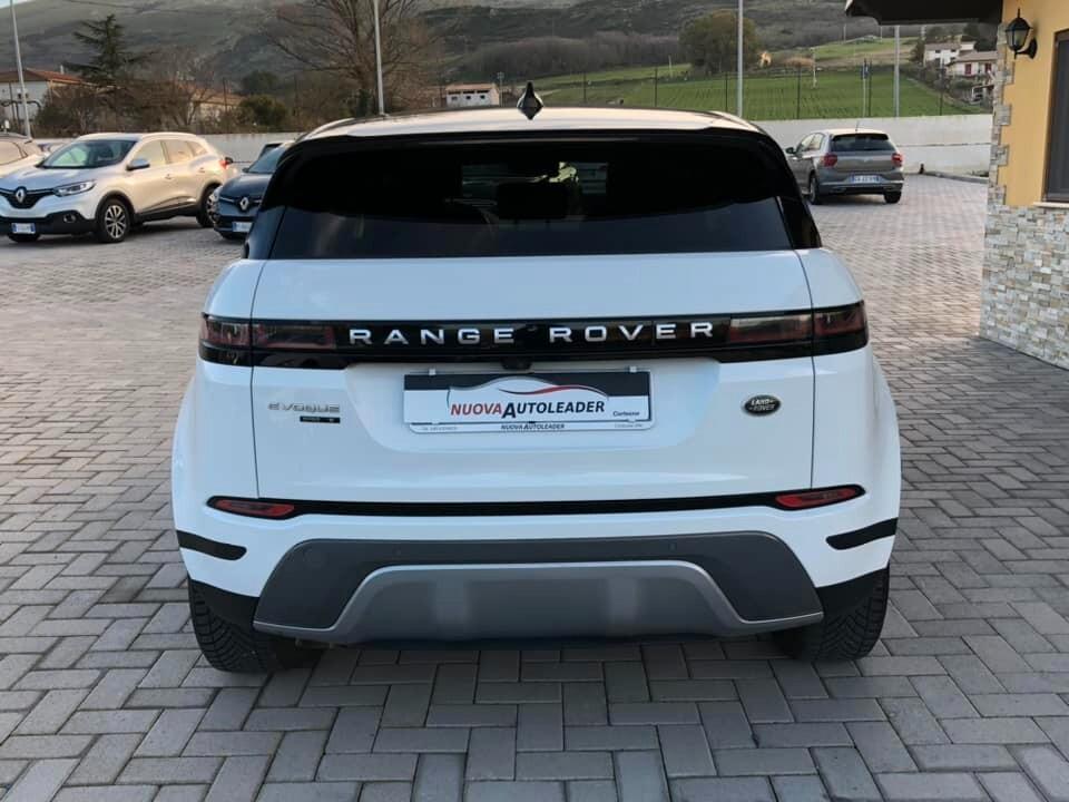 Land Rover Evoque 2.0D I4 150CV Premium 2020 IBRIDO