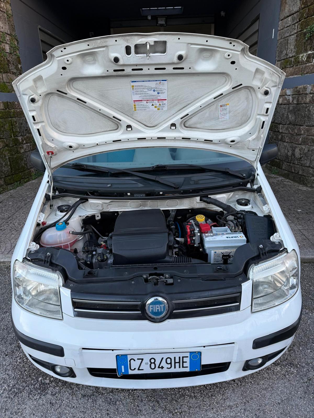 Fiat Panda 1.2 Dualogic CAMBIO AUTOMATICO