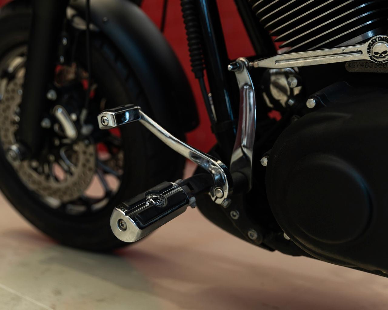 Harley-davidson Dyna "F. Bob"