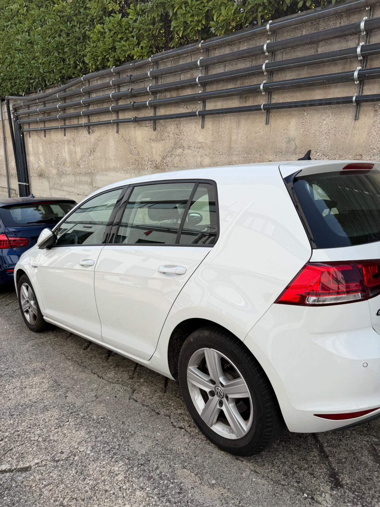 Volkswagen Golf Business 1.4 TGI DSG 5p. Highline BlueMotion