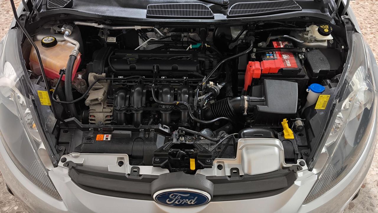 Ford Fiesta 1.2 82 CV 5 porte