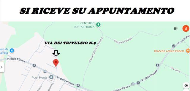 DACIA Duster GPL OPZIONALE SI ZTL