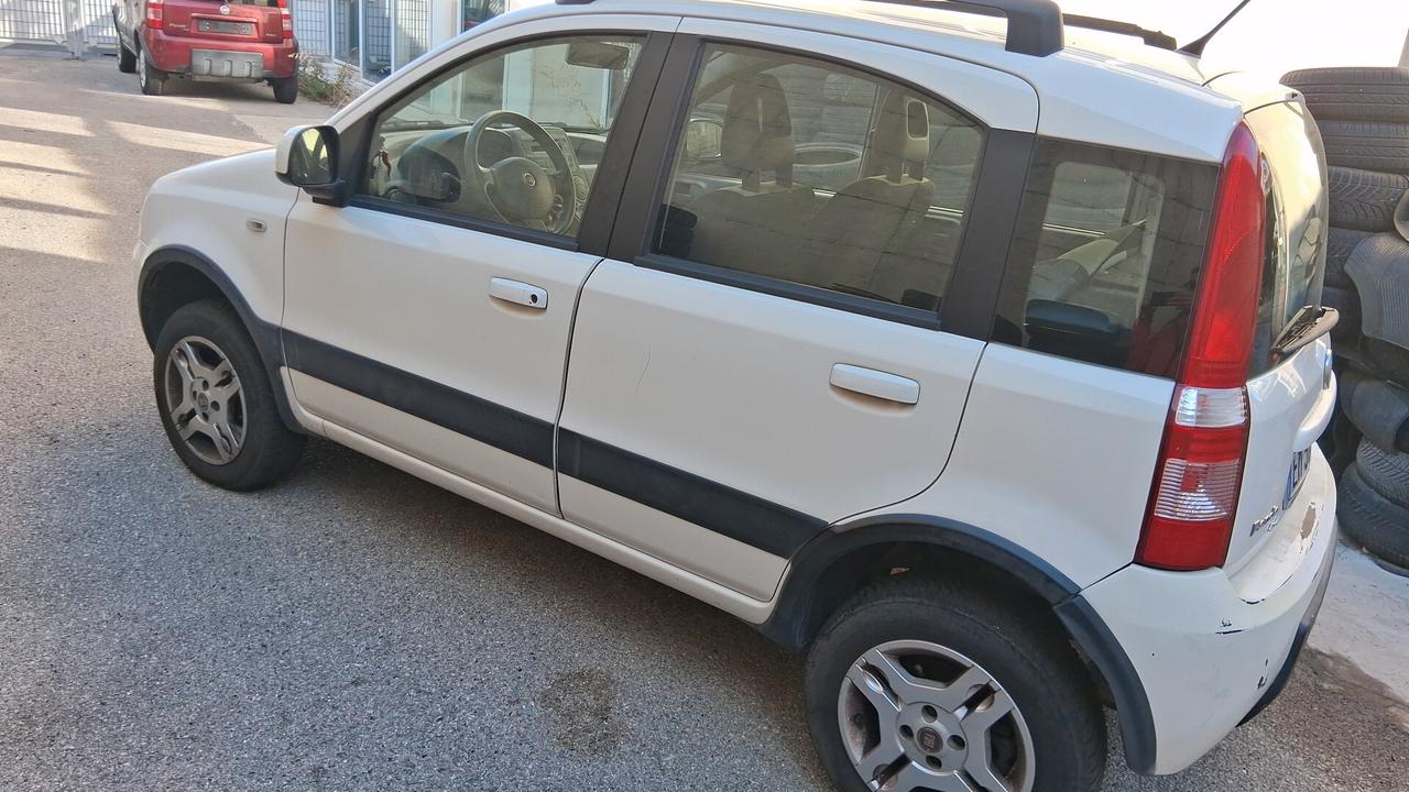 Fiat Panda 1.3 MJT 16V DPF 4x4 Climbing