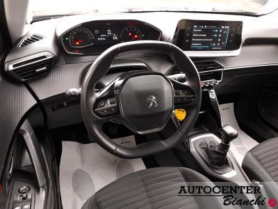 Peugeot 2008 1.5 bluehdi Active Pack s&s 110cv