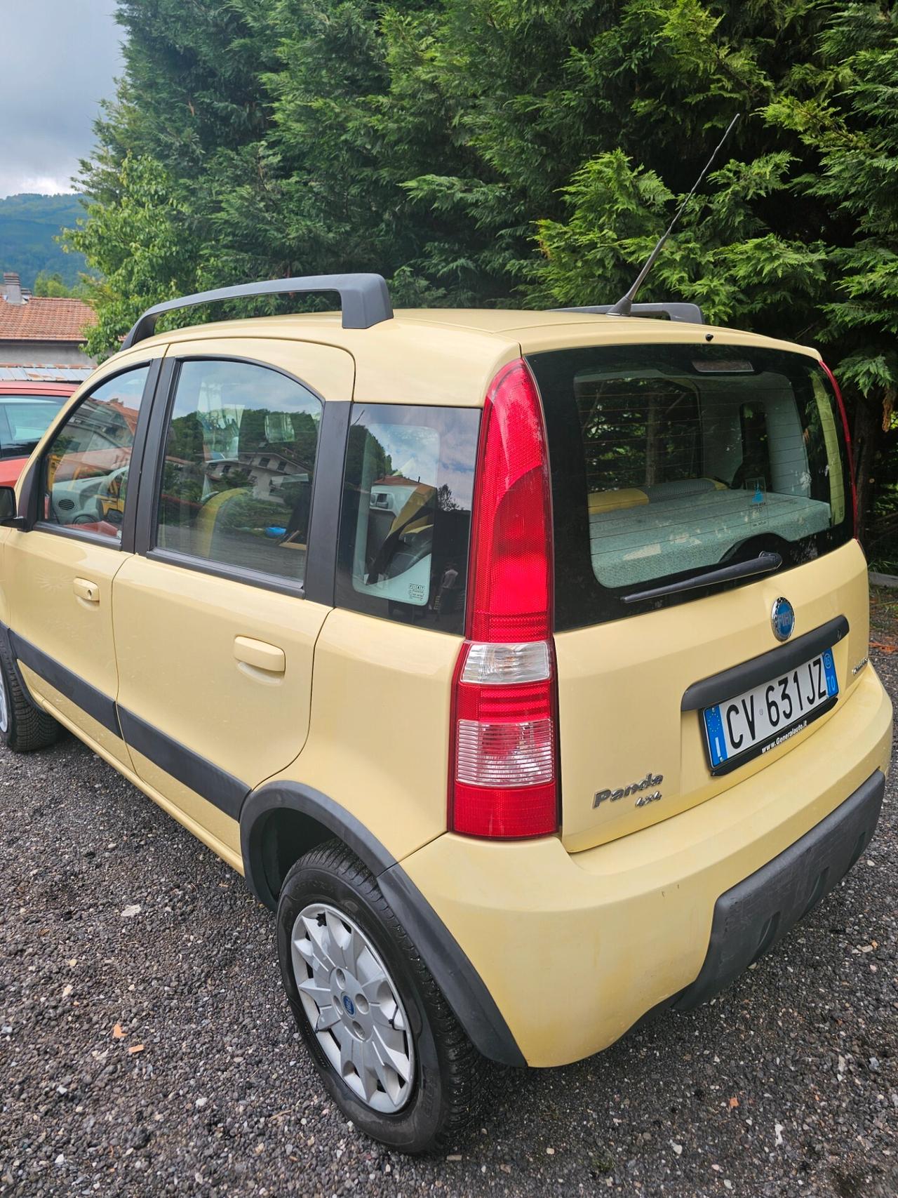 Fiat Panda 4X4 1.2 Benzina