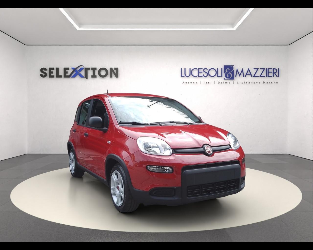 FIAT Panda 3ª serie - Panda 1.0 FireFly S&S Hybrid