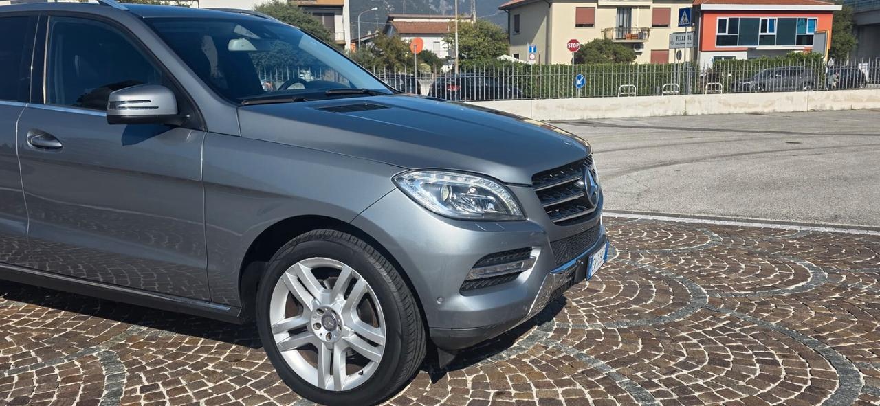 Mercedes-benz ML 250 350 BlueTEC 4Matic Premium