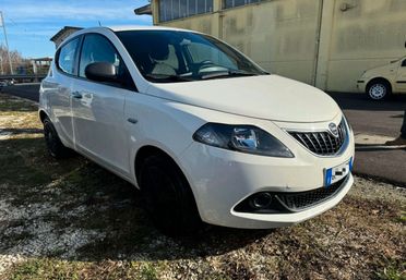 Lancia Ypsilon 1.2 69 CV 5 porte Elefantino