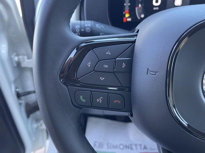 FIAT Pandina Cross 1.0 firefly hybrid s&s 70cv - AZIENDALE